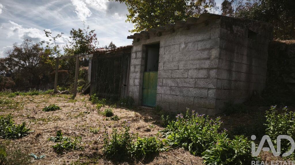 Land in Vila Pouca da Beira - view 1