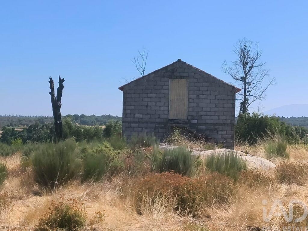 Land in Travancinha - Image 5