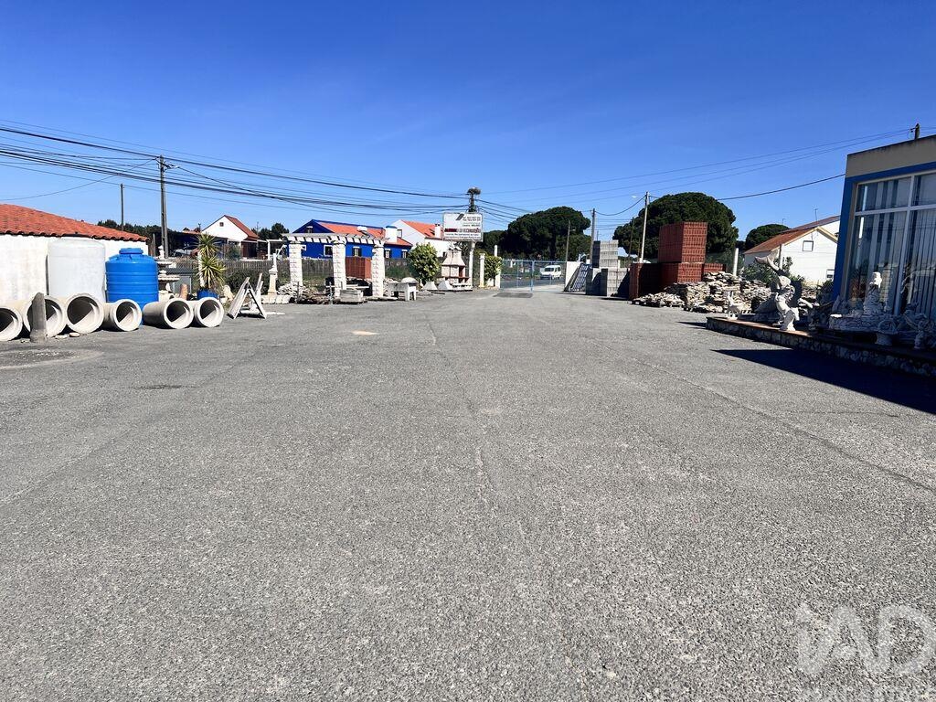 House in Melides - Image 3