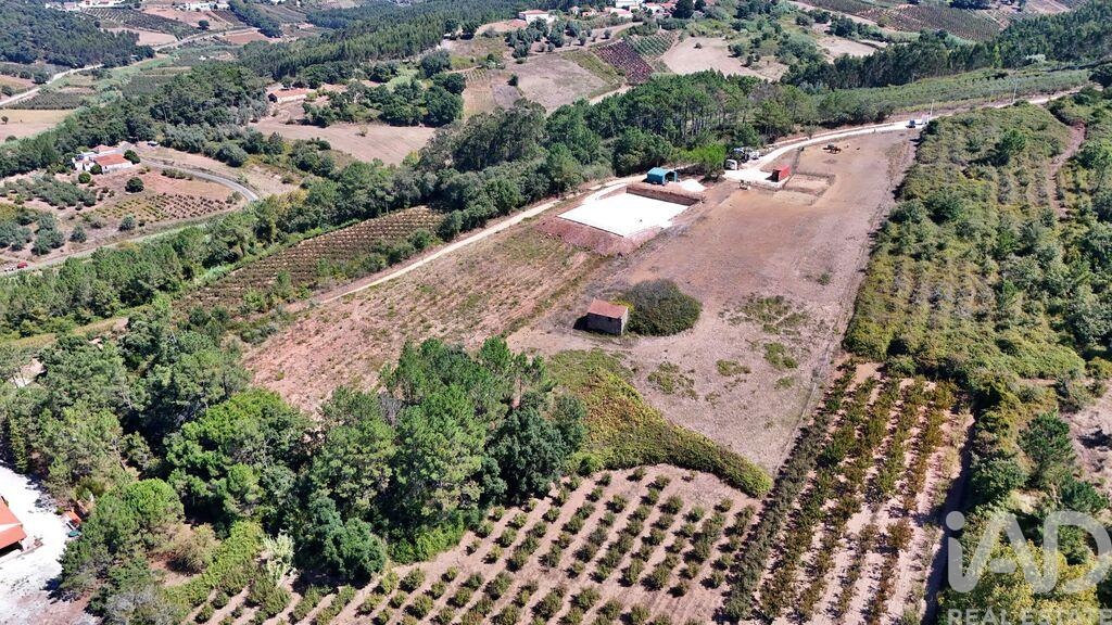 House in Alvorninha - Image 3