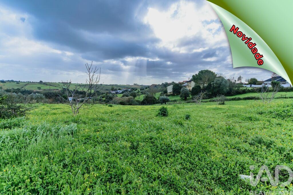 Land in Abitureiras - view 1