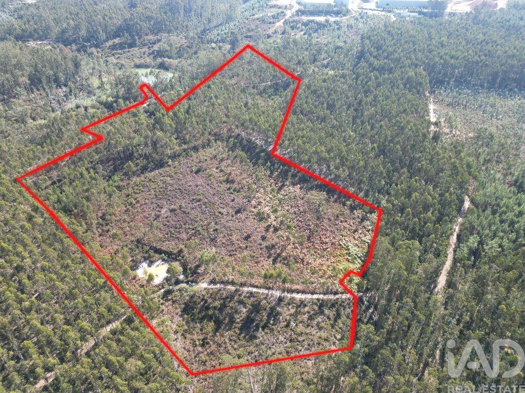 Land in Pedreiras - Image 2