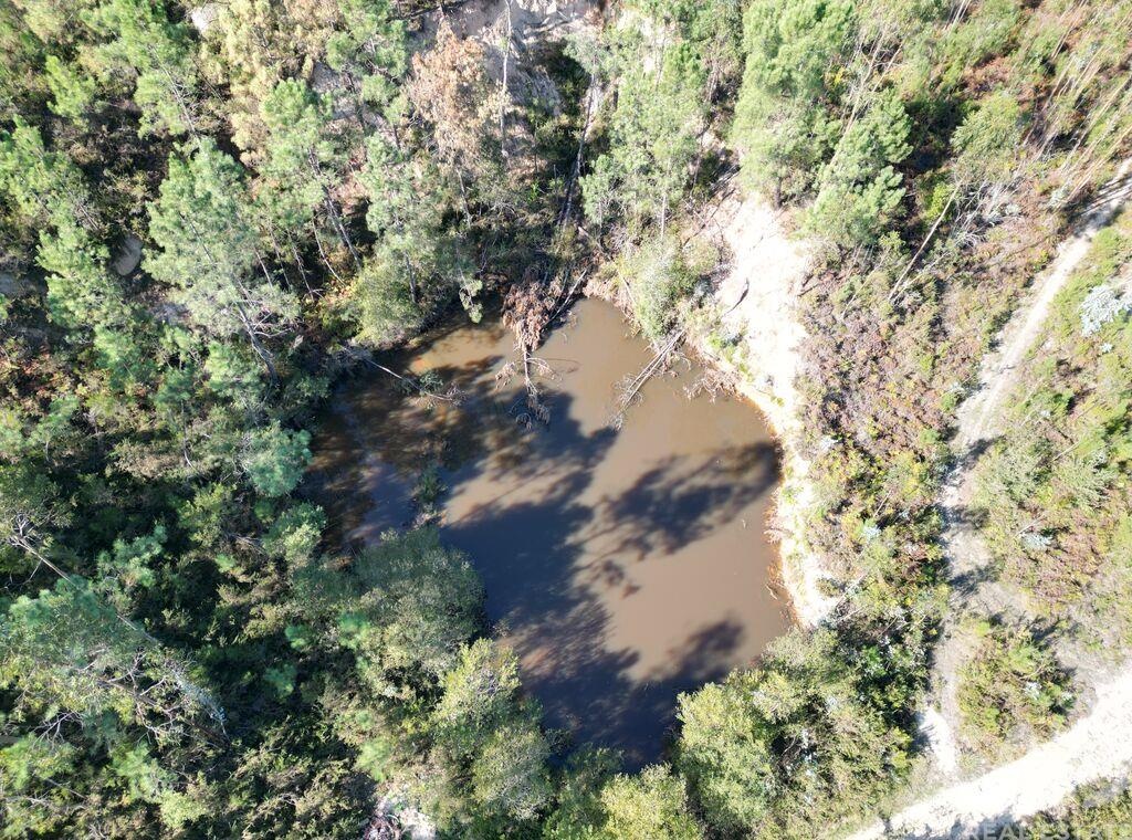Land in Pedreiras - Image 5