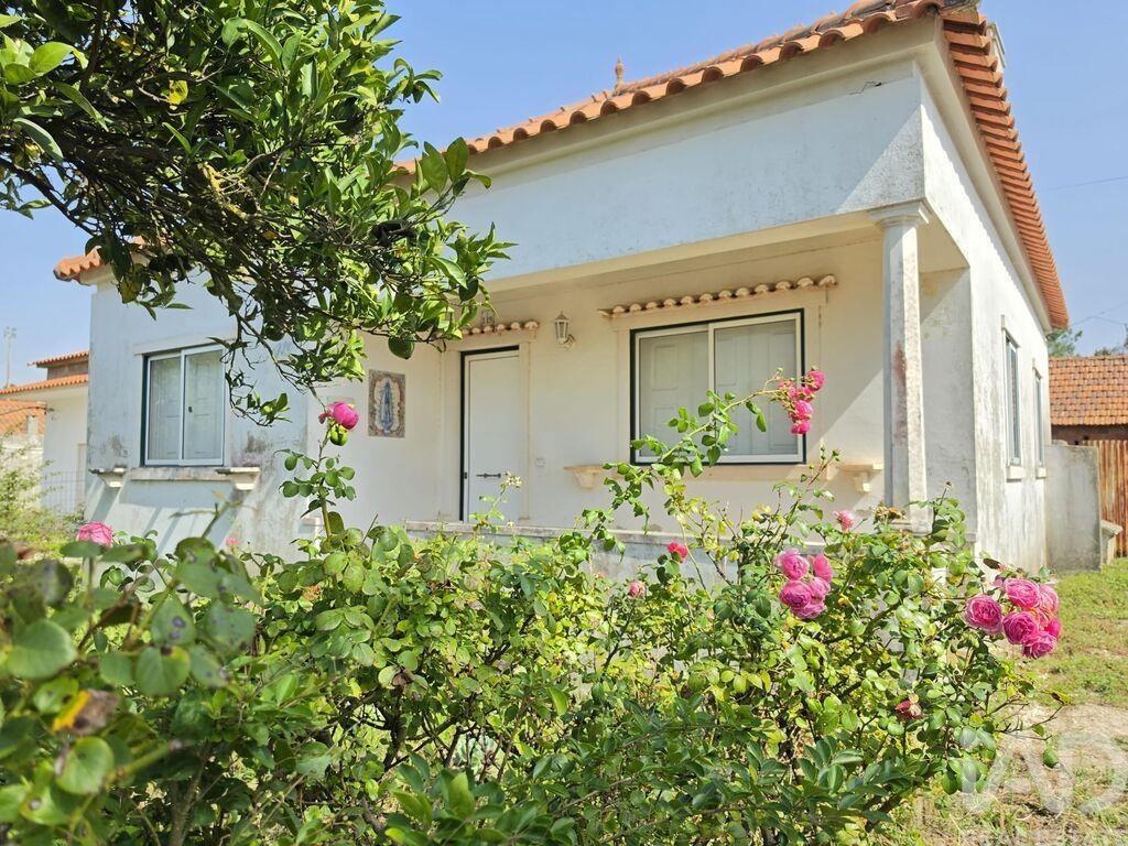 House in Pedreiras - view 1