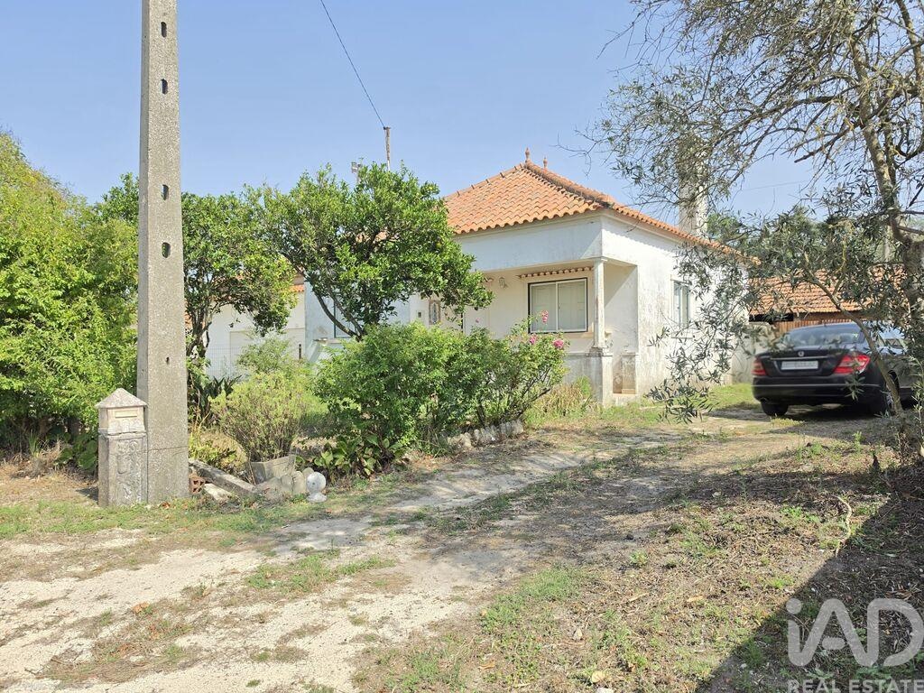 House in Pedreiras - Image 2