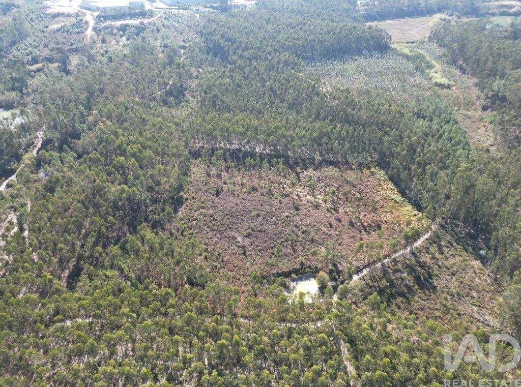 Land in Pedreiras - Image 4