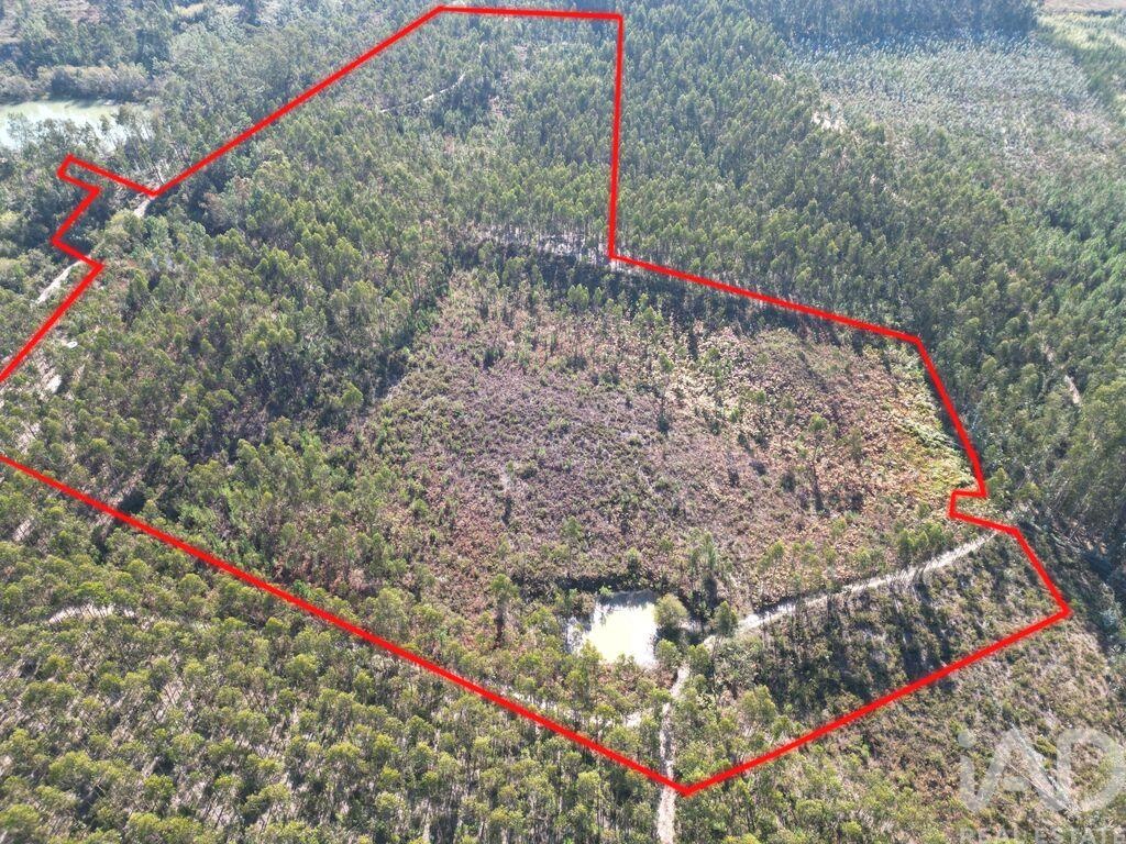 Land in Pedreiras - view 1