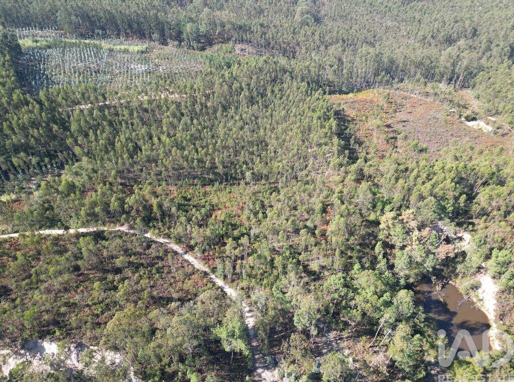 Land in Pedreiras - Image 3