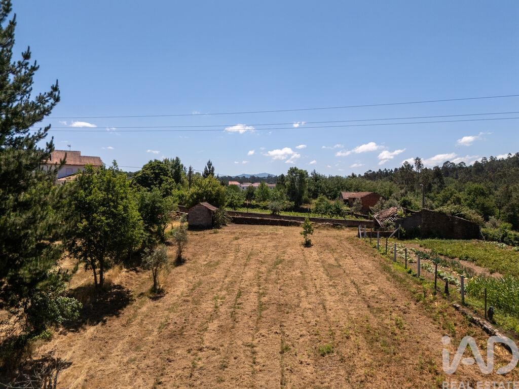 Land in Mouronho - Image 2