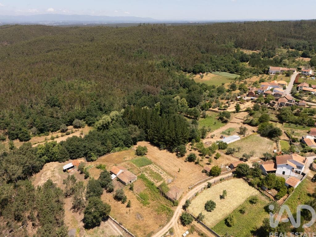 Land in Mouronho - Image 4