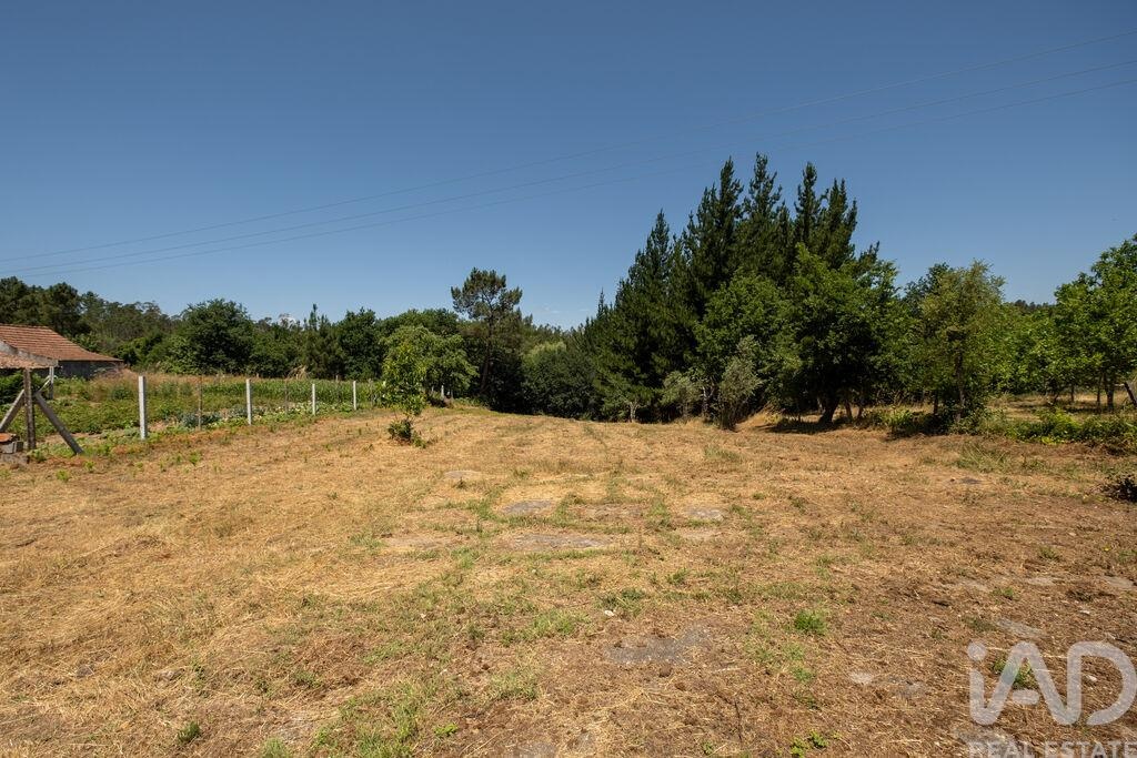 Land in Mouronho - Image 3