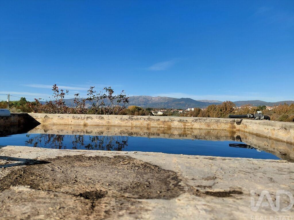 House in Caria - Image 3