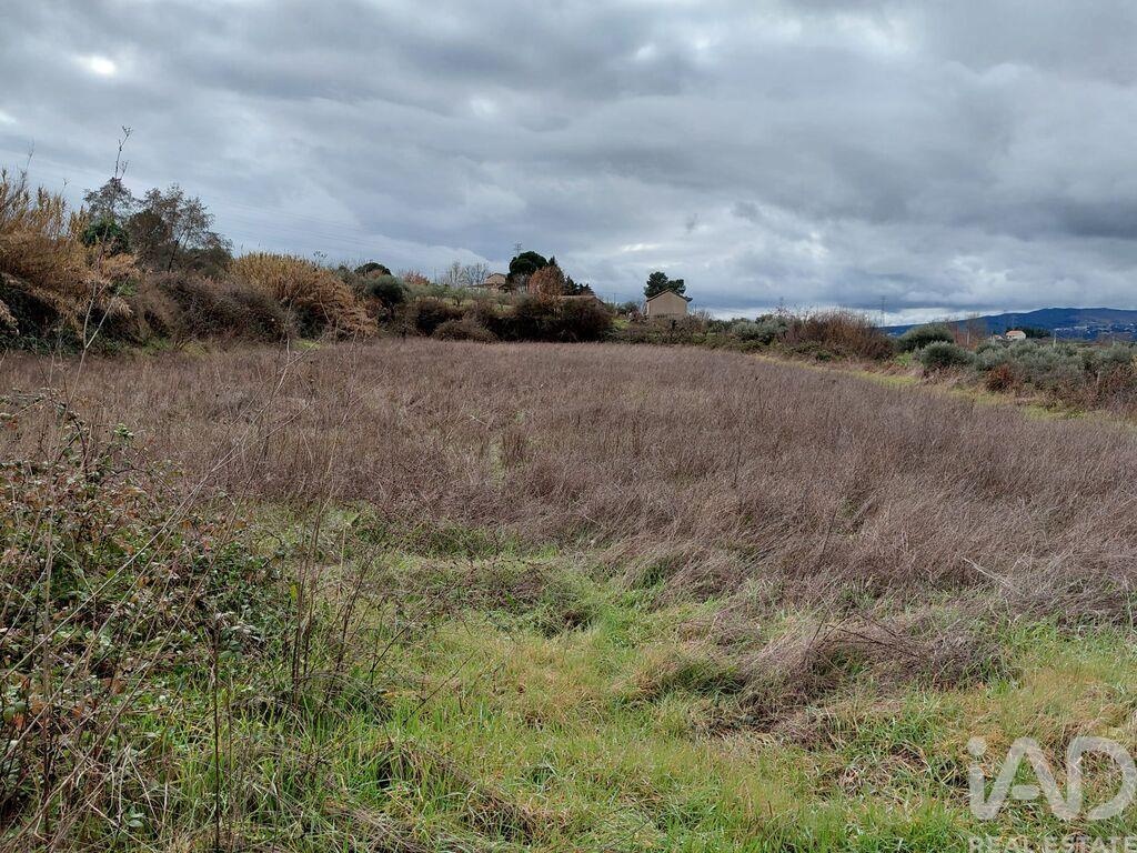 House in Ferro - Image 5