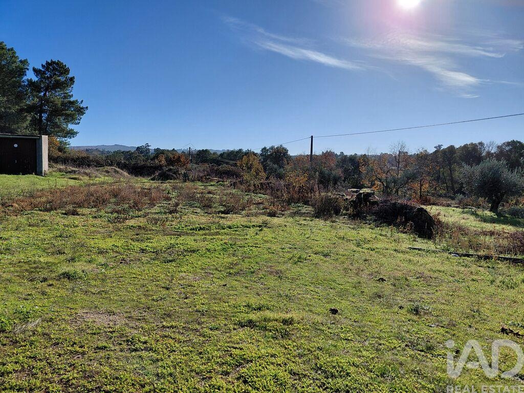 House in Caria - Image 2