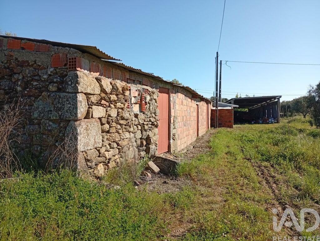 Land in Capinha - view 1