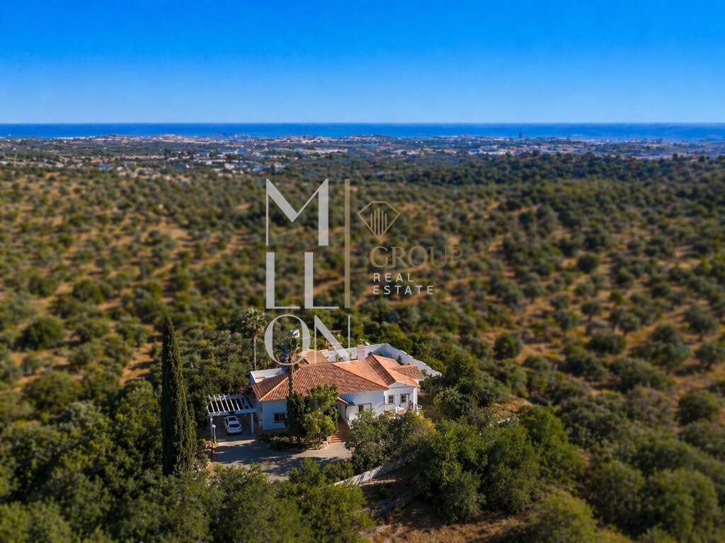 Moradia Térrea de Sonho com Piscina, Jardim e Total Privacidade – Boliqueime, Loulé