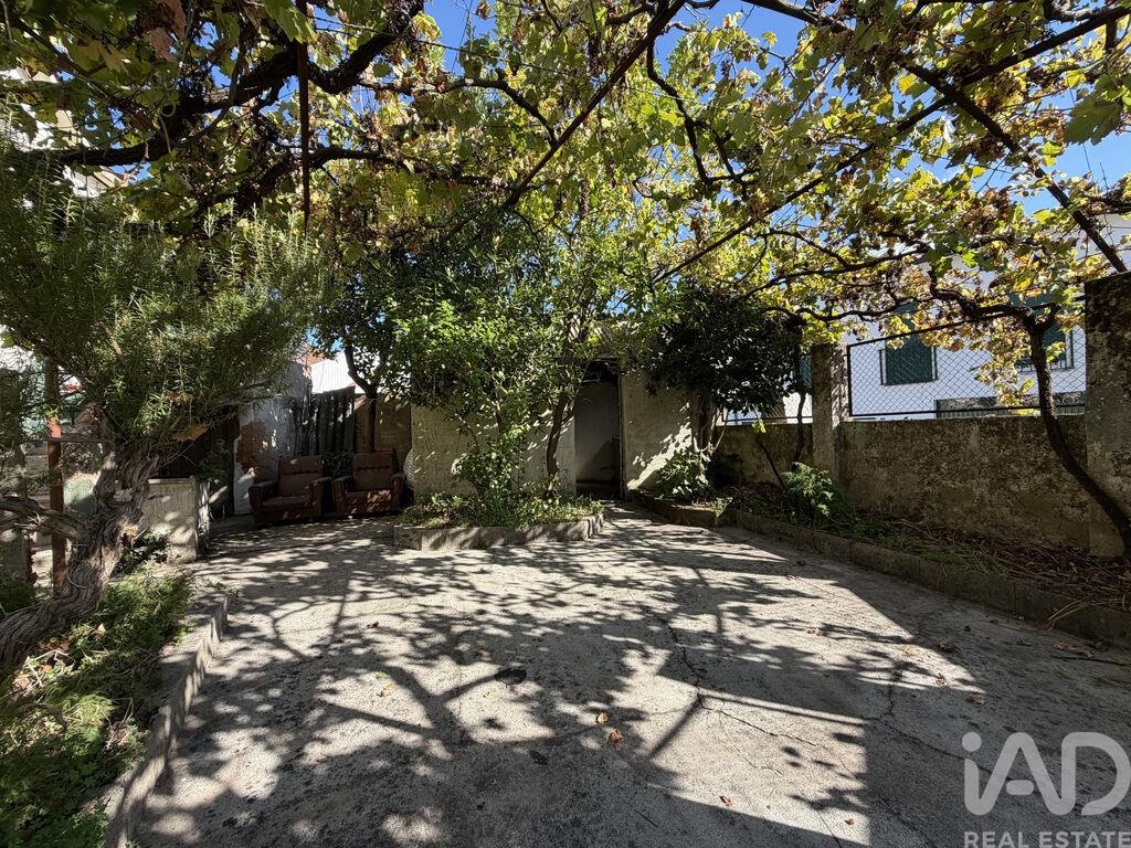 House in Miranda do Corvo - Image 3