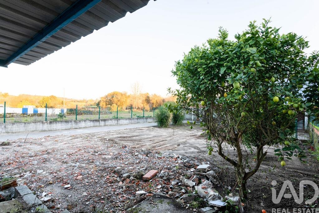 House in Aveiro - Image 4