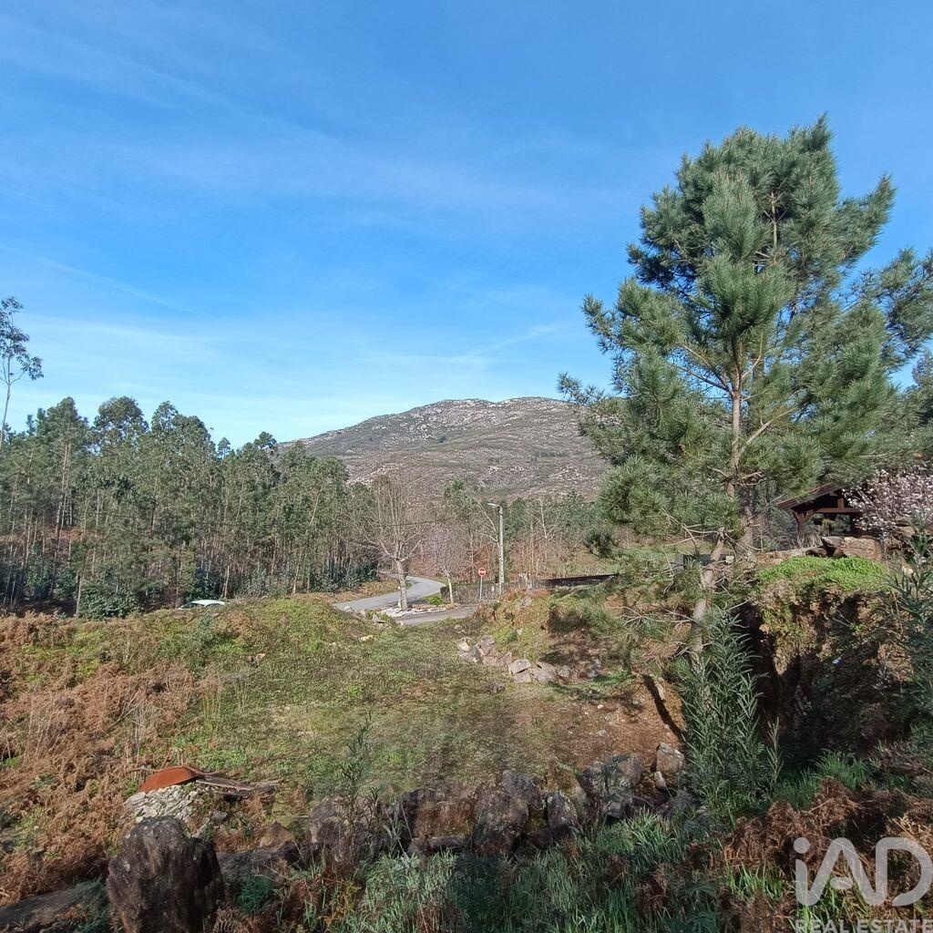 Land in Sopo - view 1