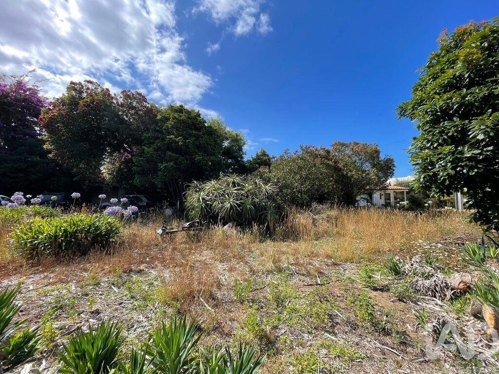 Land in Esposende - Image 5