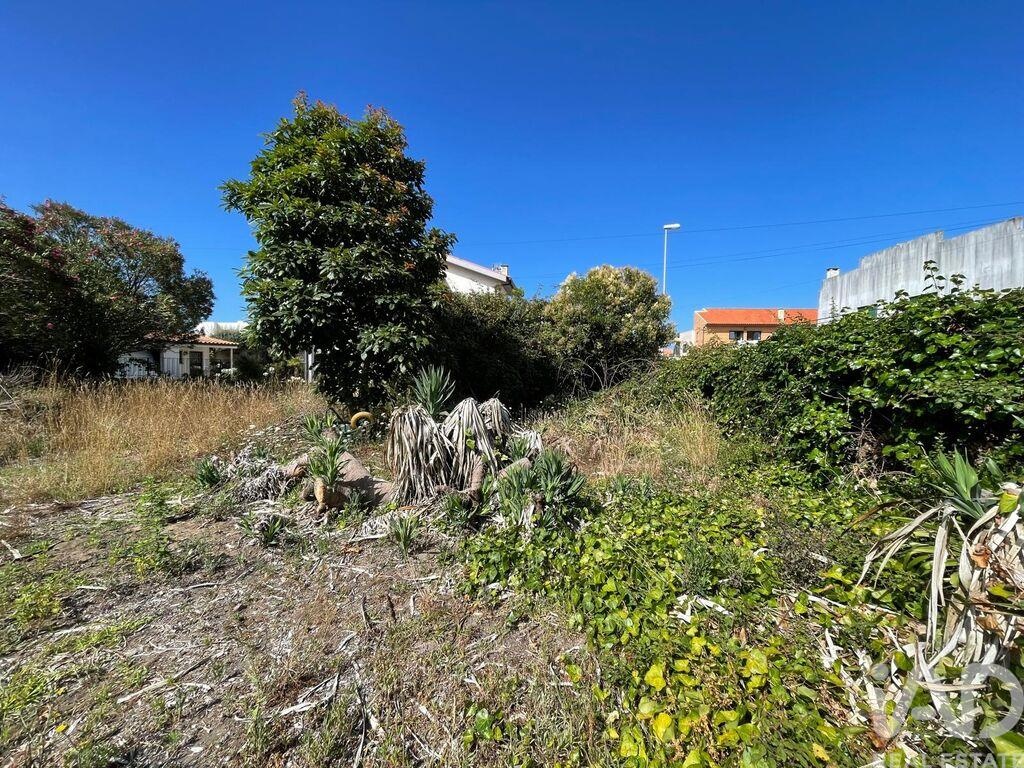 Land in Esposende - Image 4