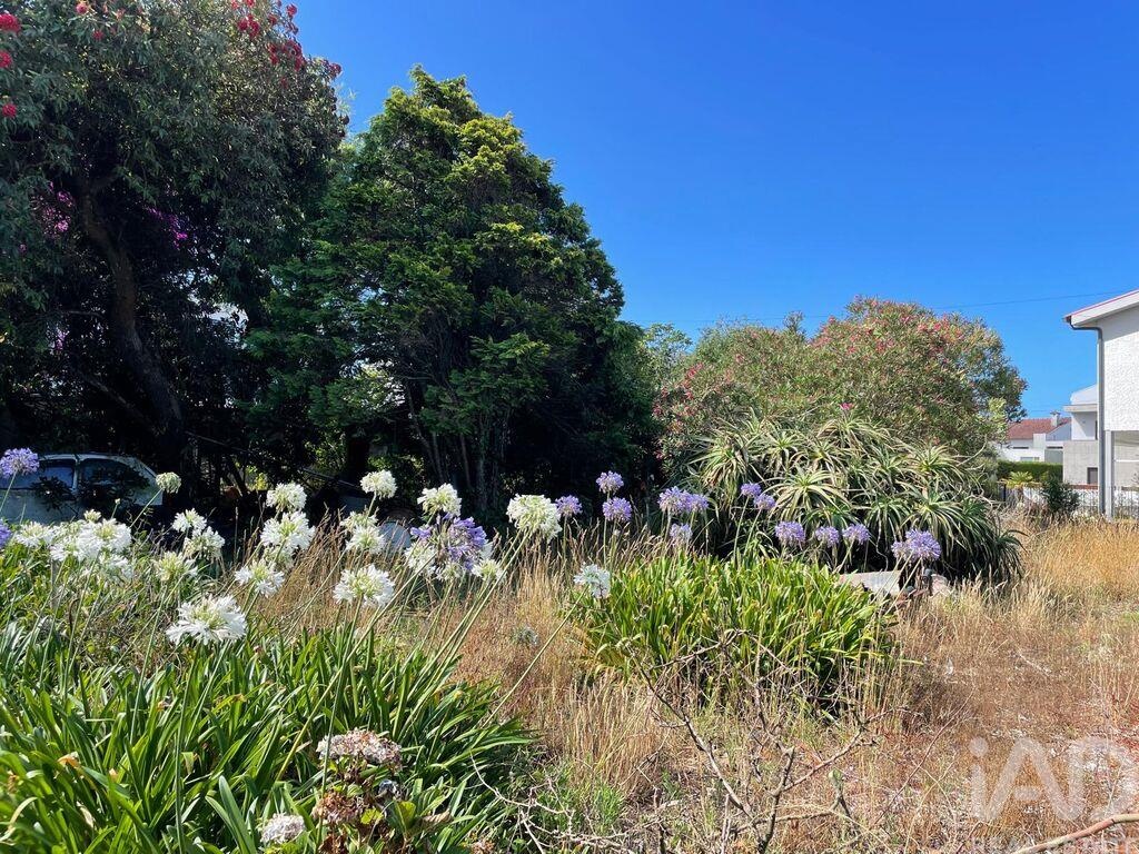 Land in Esposende - Image 2