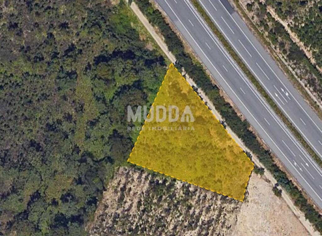 Terrenos Rústicos para  venda em Arada Ovar