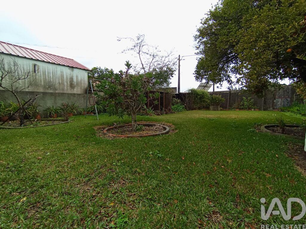 House in Corticeiro de Cima - Image 5