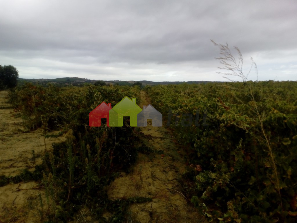 Venda Terreno em Vila de Frades, Vidigueira por 80.000 ...