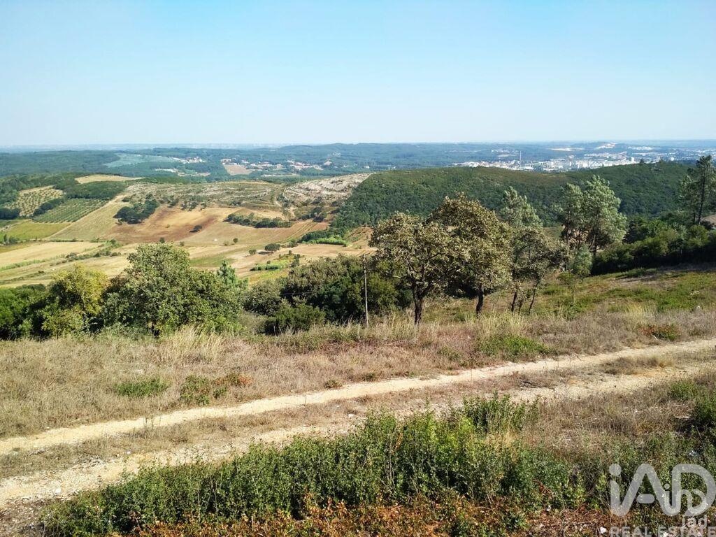Land in Rio Maior - Image 3