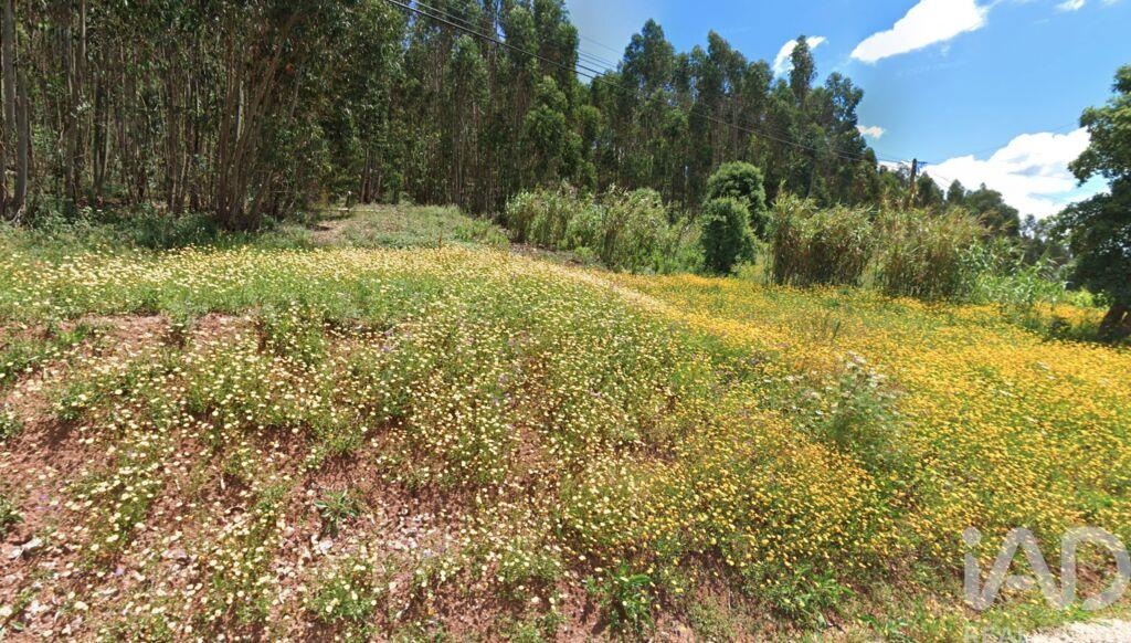 Land in Rio Maior - view 1