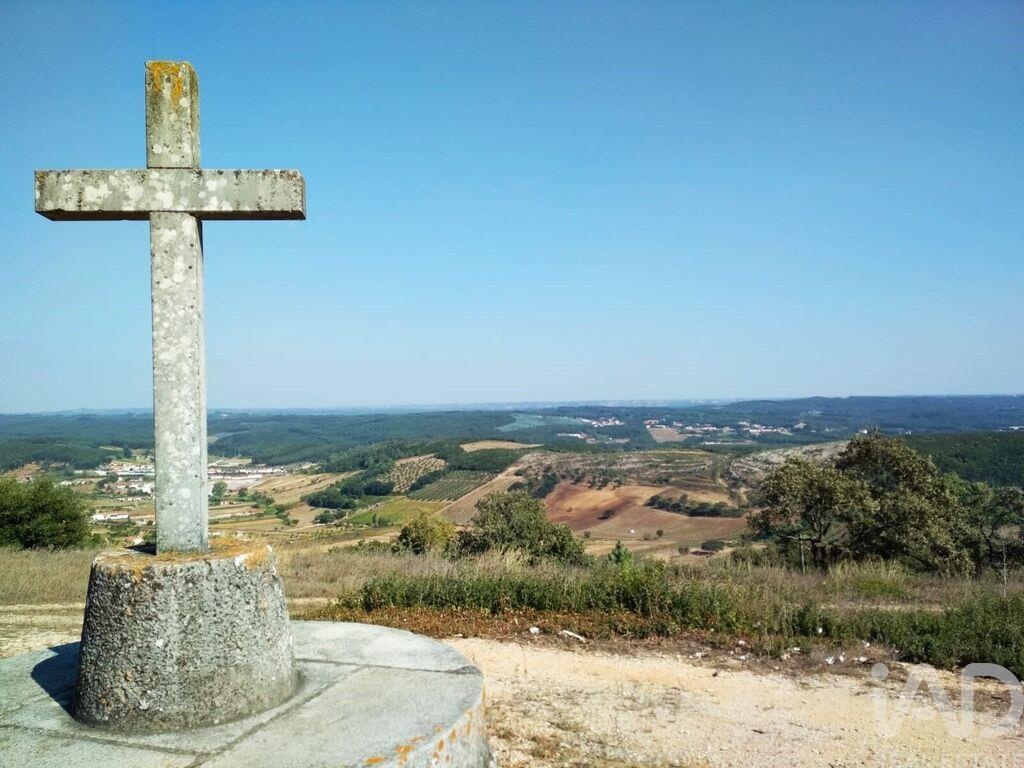 Land in Rio Maior - view 1