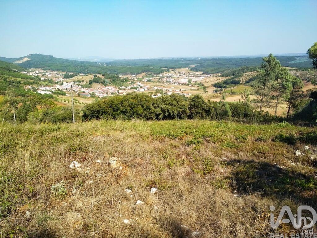 Land in Rio Maior - Image 2
