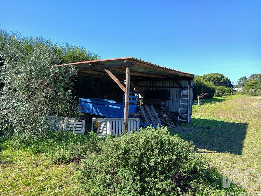 Land in Vila Nova de Milfontes - Image 4