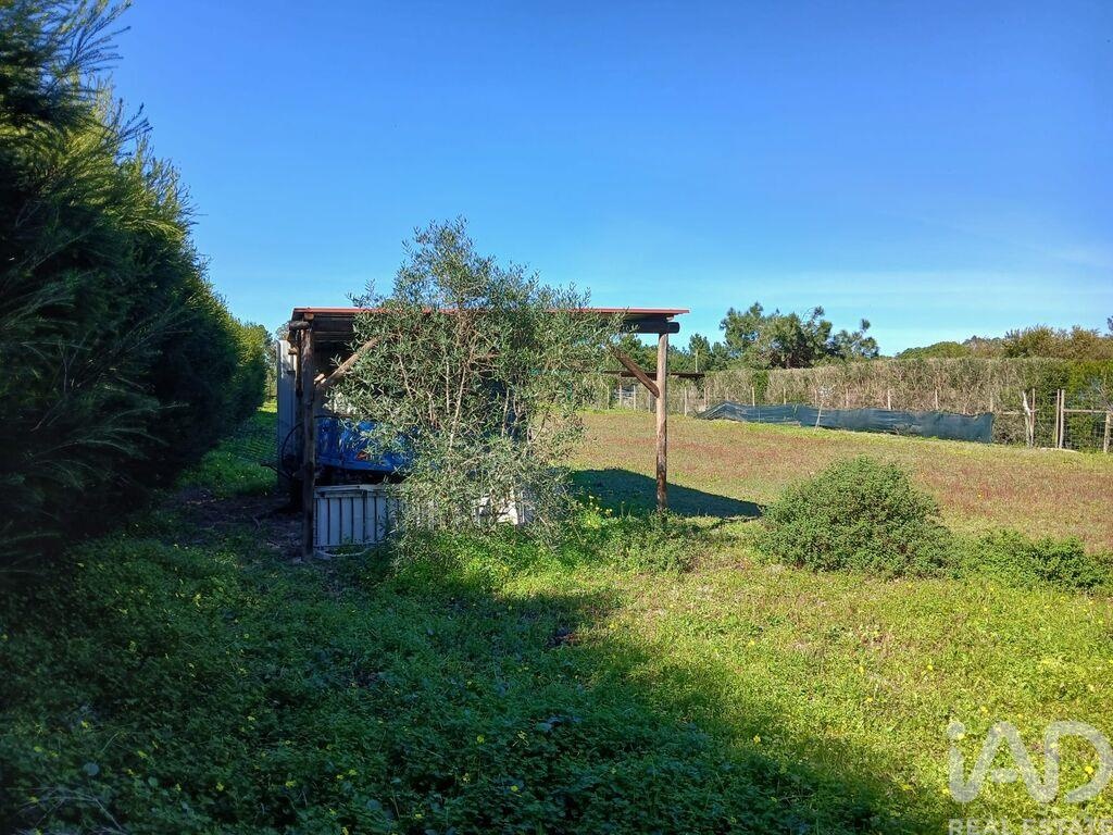 Land in Vila Nova de Milfontes - Image 5