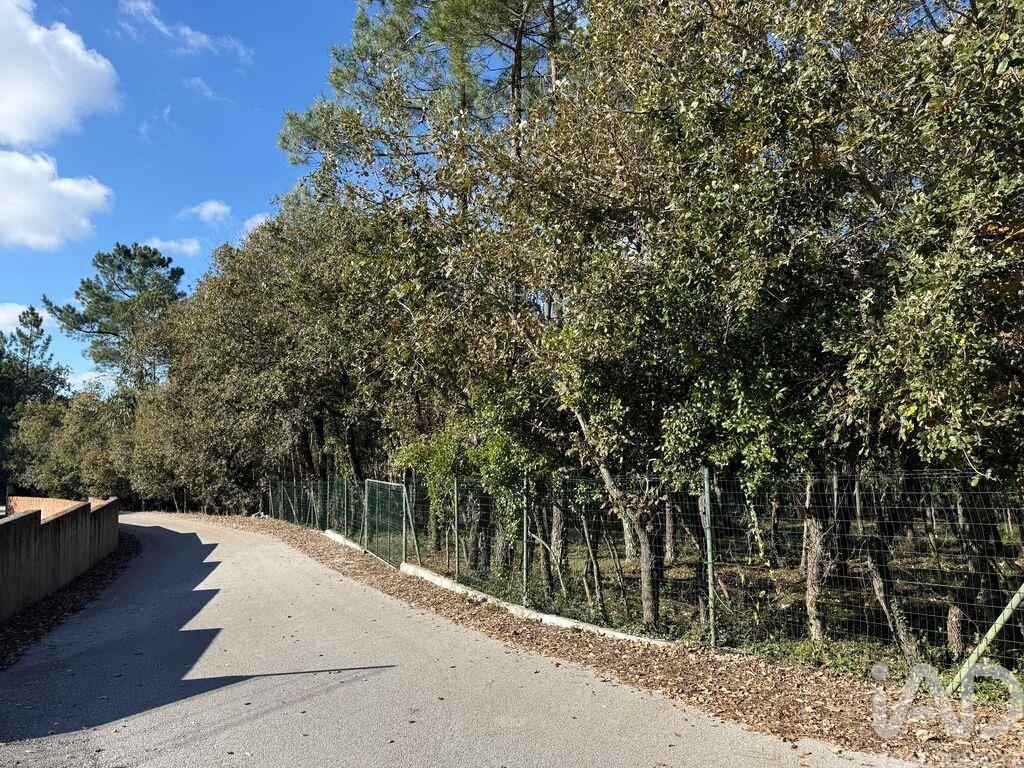 Land in Pedreiras - Image 4