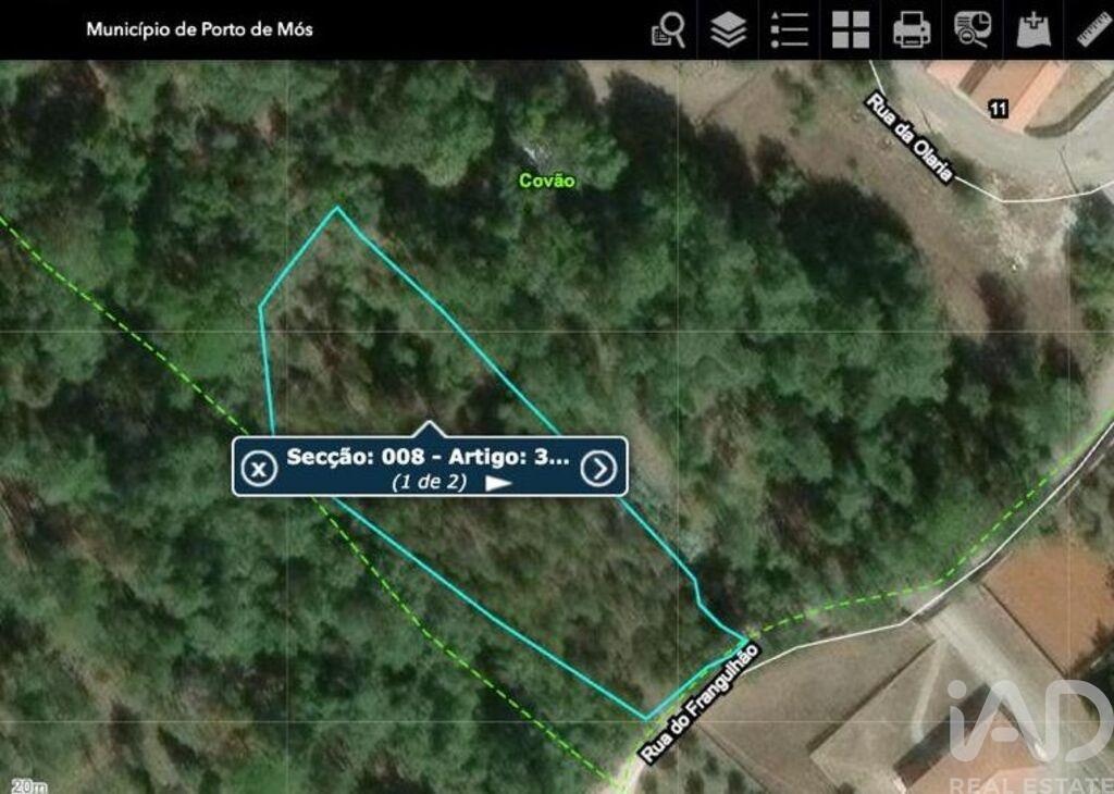 Land in Pedreiras - Image 2