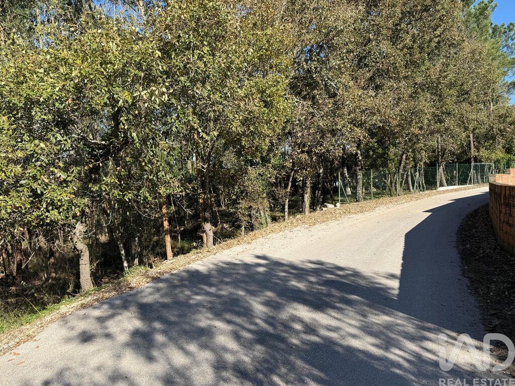 Land in Pedreiras - Image 3