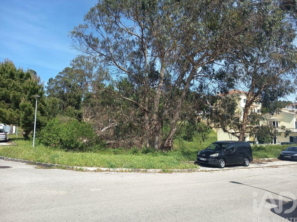 Land in Rio Maior - view 1