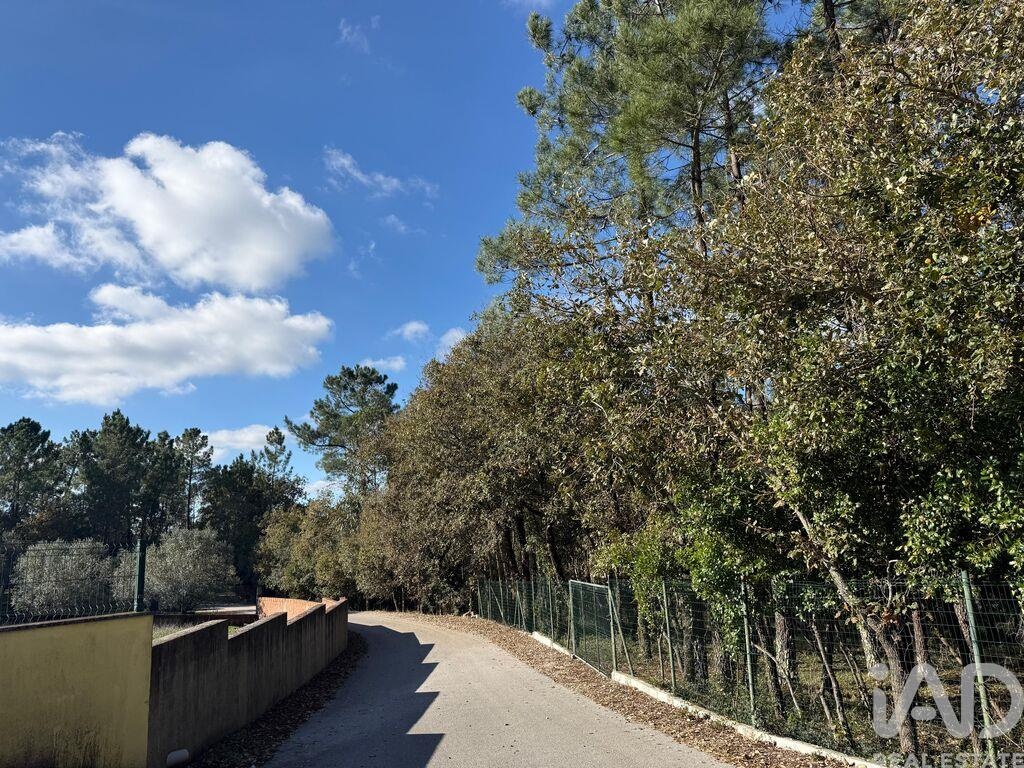 Land in Pedreiras - view 1