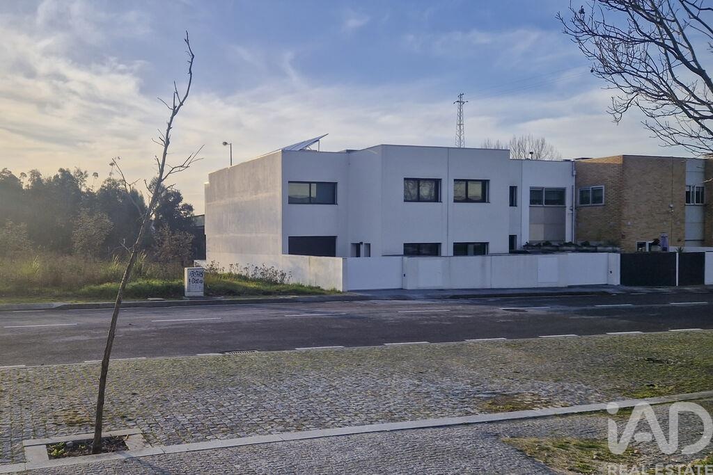 Land in Silva Escura - Image 3