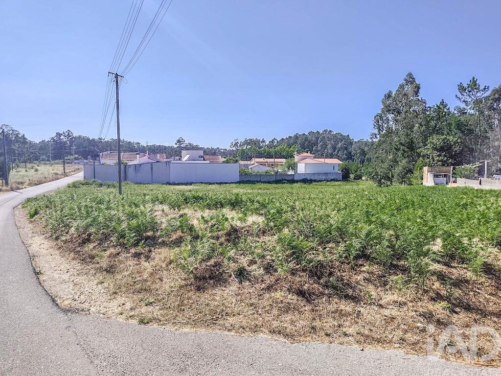 Land in Maceira - view 1