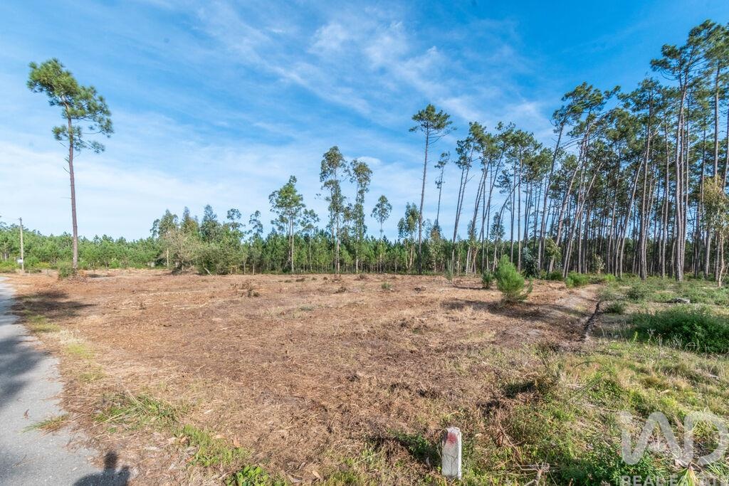 Land in Monte Redondo - view 1