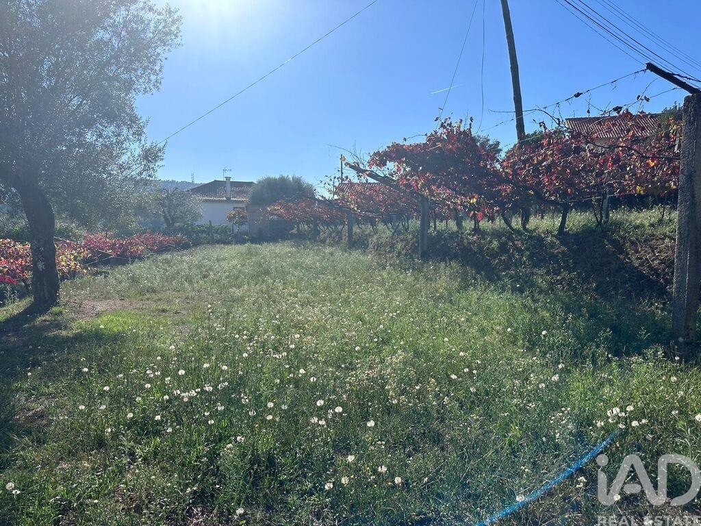 Land in Fornelos - Image 2