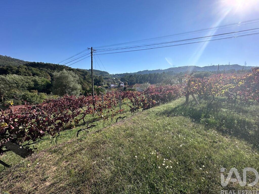 Land in Fornelos - Image 5