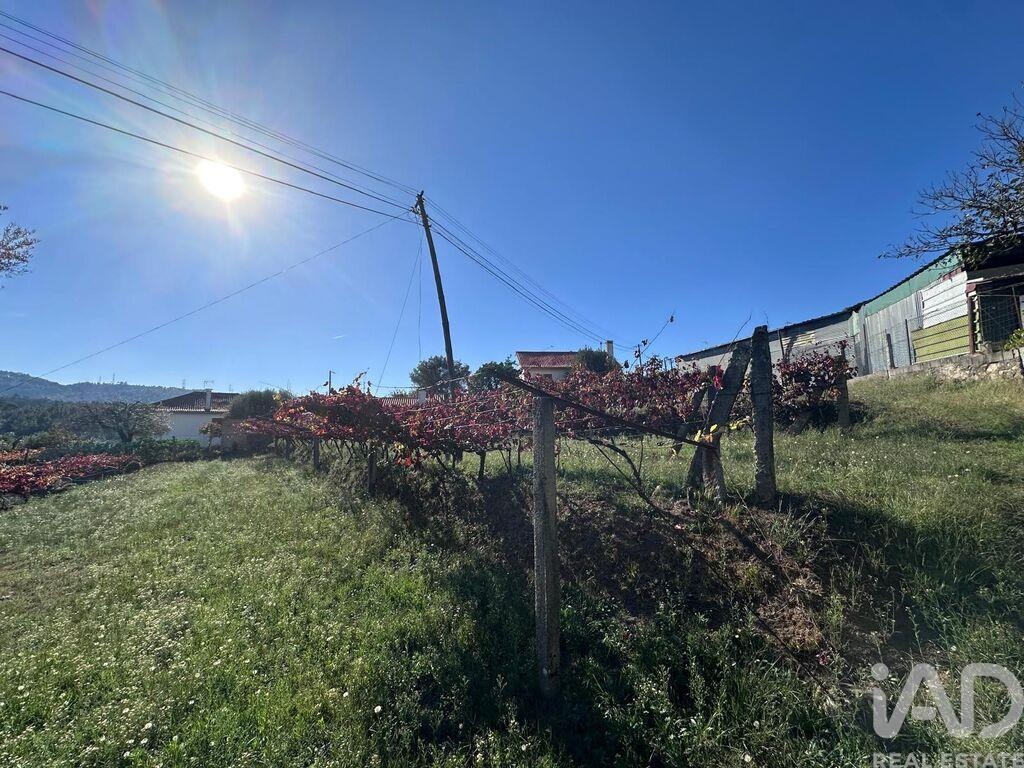 Land in Fornelos - Image 4