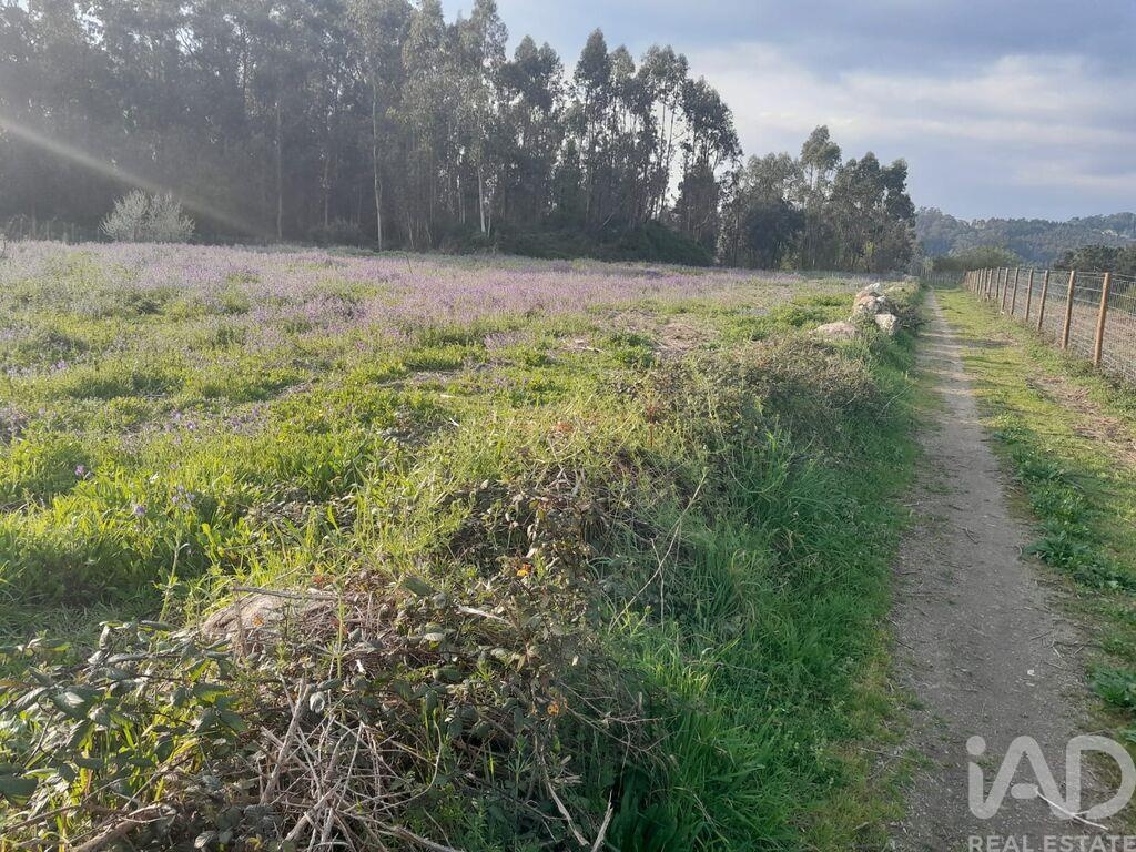 Land in Requiao - view 1