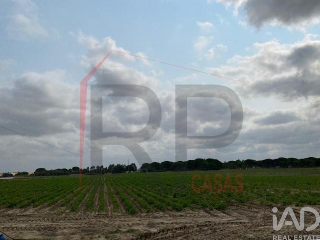 Land in Pegoes - view 1