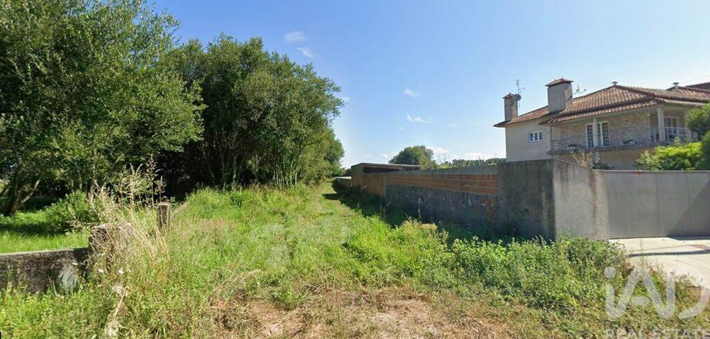 Land in Maceda - view 1