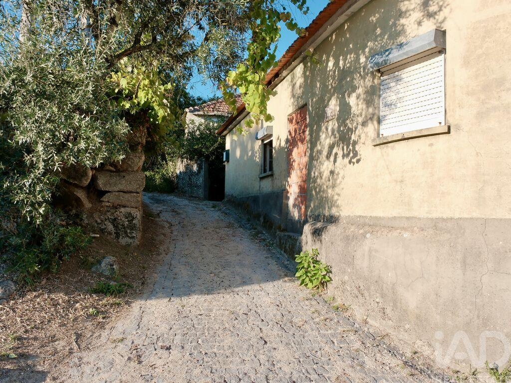 House in Sul - Image 3